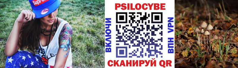 где продают наркотики  Игарка  blacksprut   Псилоцибиновые грибы мицелий 
